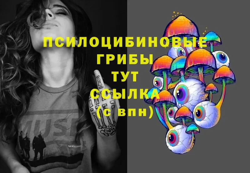 где можно купить   omg ССЫЛКА  Псилоцибиновые грибы MAGIC MUSHROOMS  Нижний Ломов 